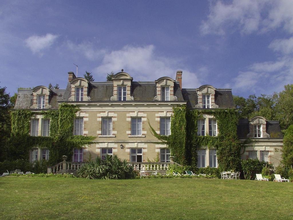 Chateau Des Tertres Onzain Exteriör bild